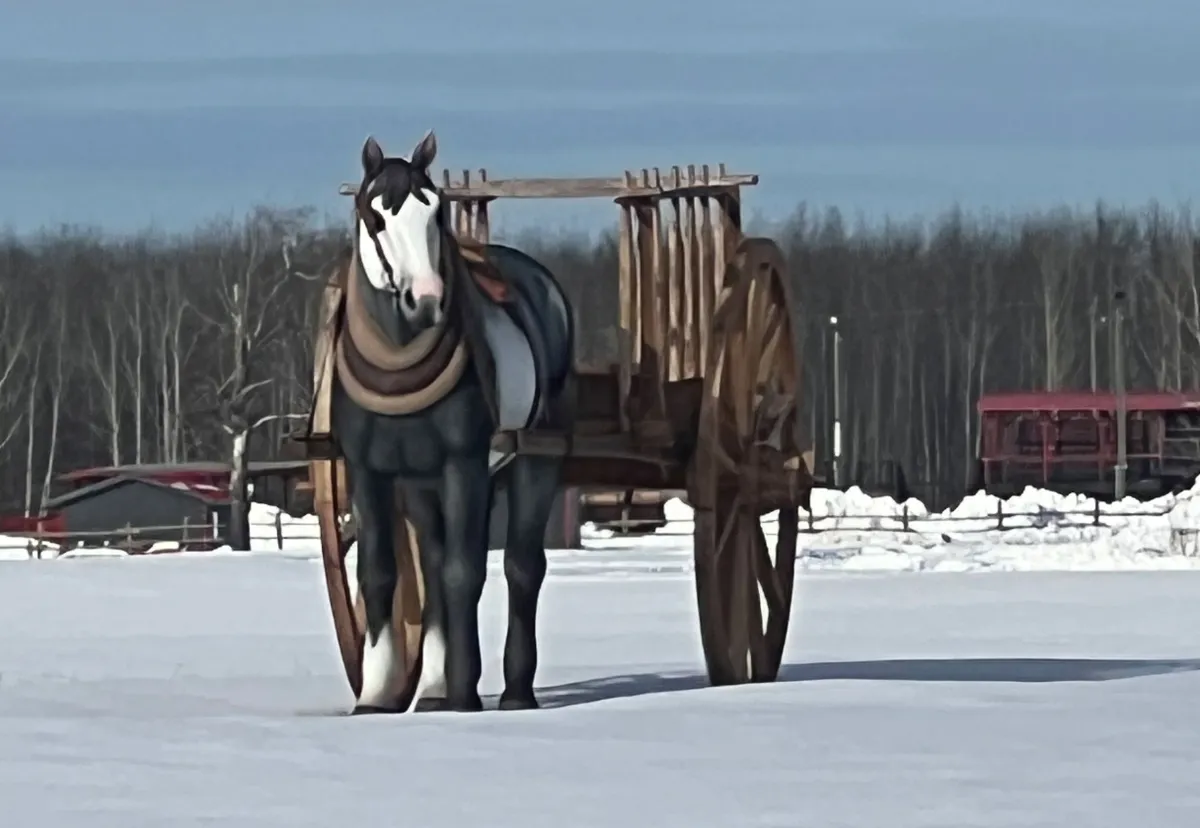 Horse with red river cart